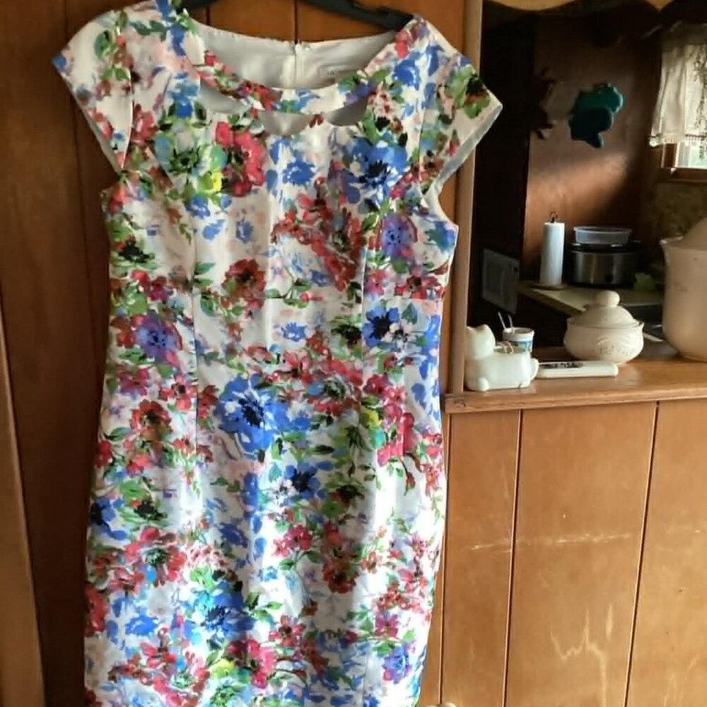 Liz Claiborne Dress Size 10 Summer Floral